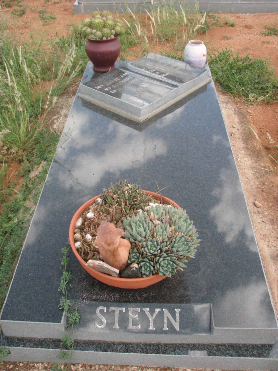 STEYN Willem 1966-2000