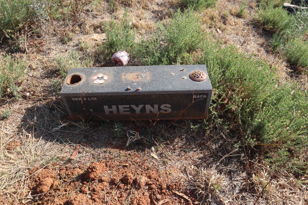 HEYNS