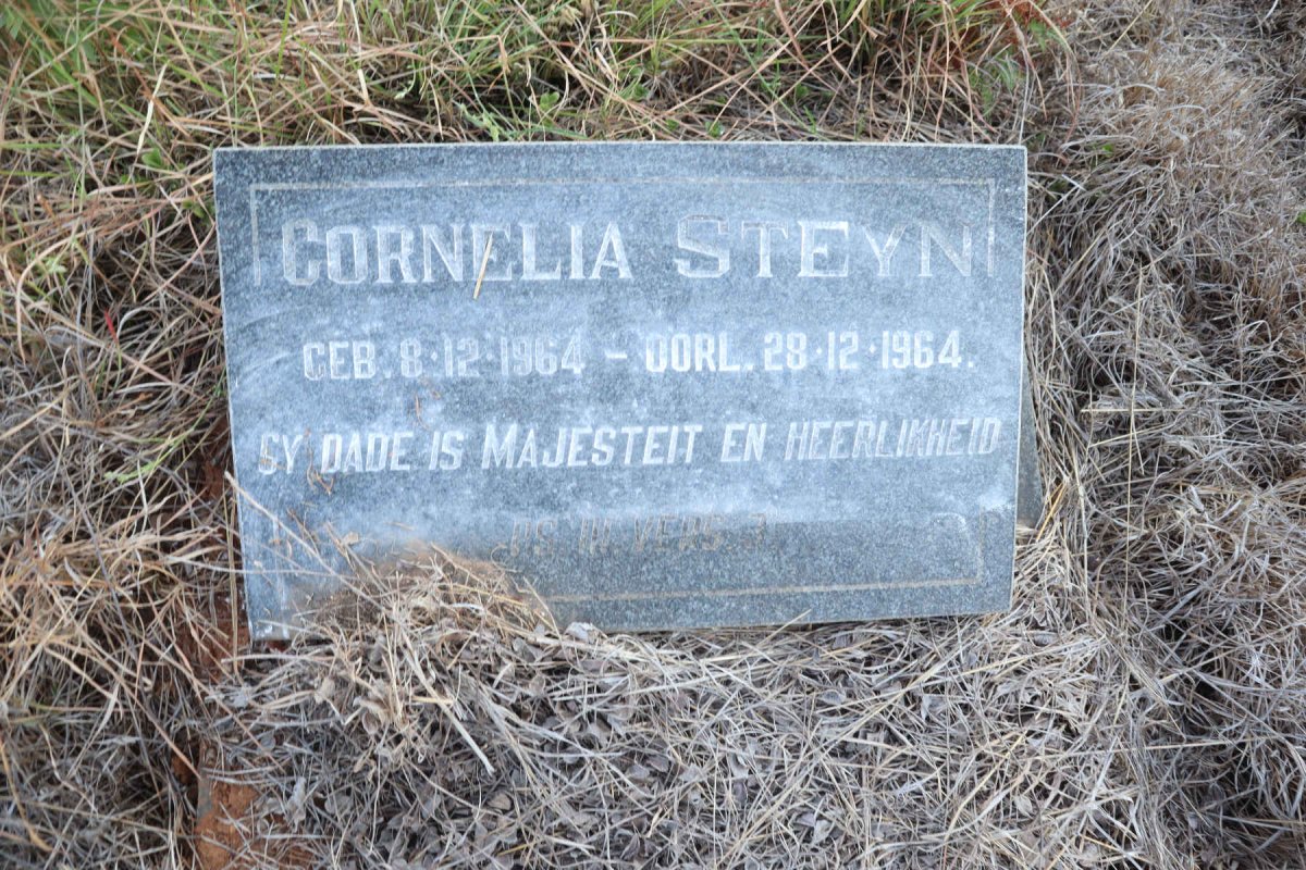STEYN Cornelia 1964-1964