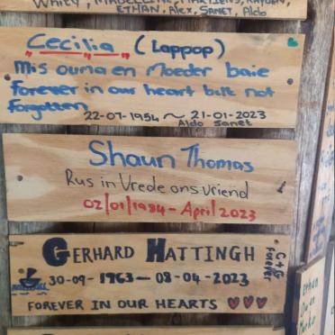 03. Wall of Fame