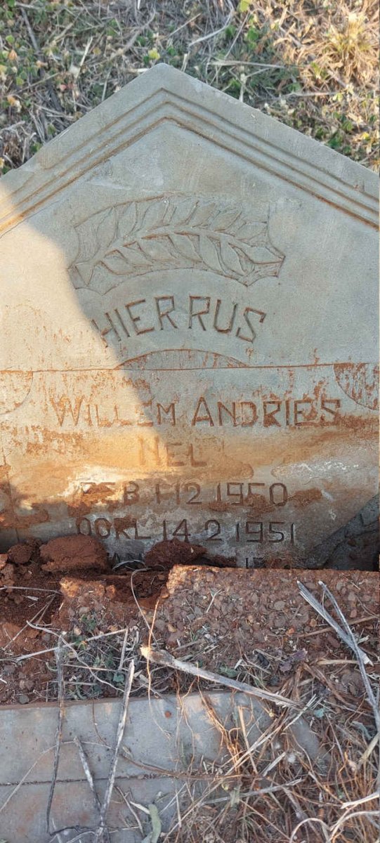 NEL Willem Andries 1950-1951