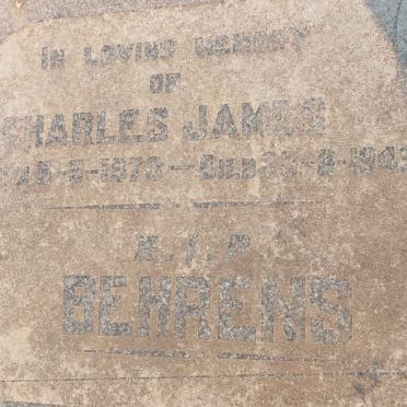 Limpopo, ELIAS MOTSOALEDI district, Marble Hall, Loskop Noord 12, farm cemetery