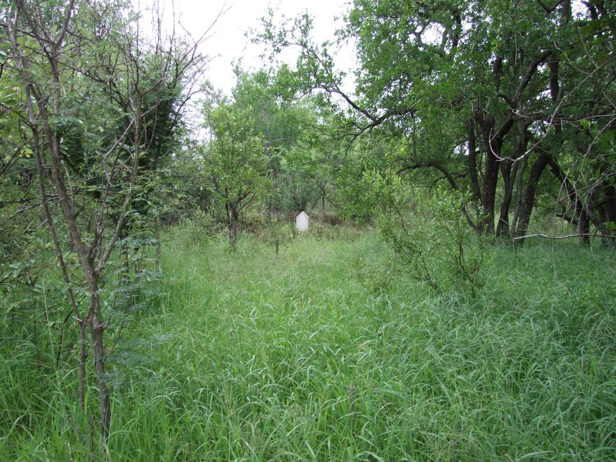 1. Overview