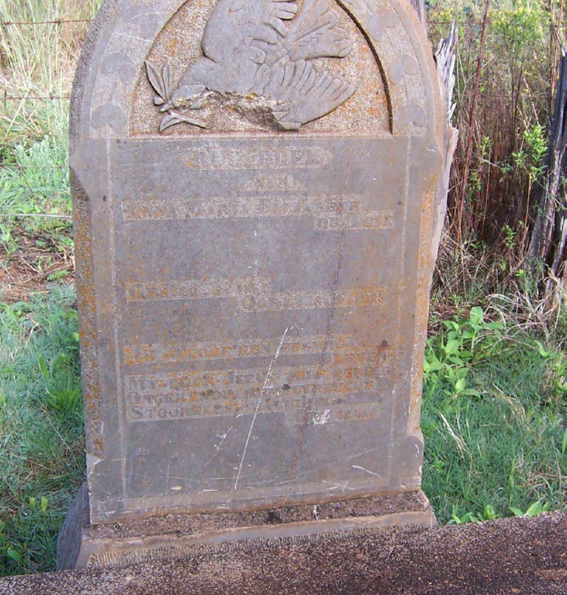 TOIT Anna Maria Elizabeth, du 1882-1925