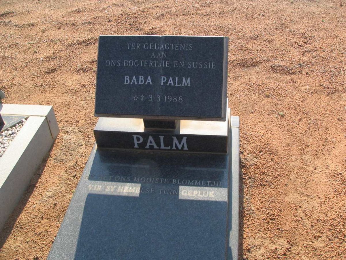 PALM 1988-1988
