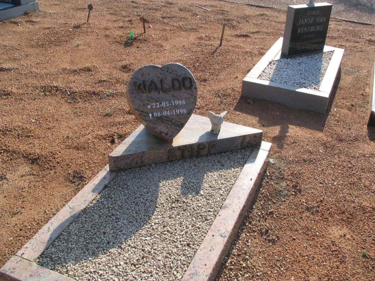 STIPP Waldo 1996-1998