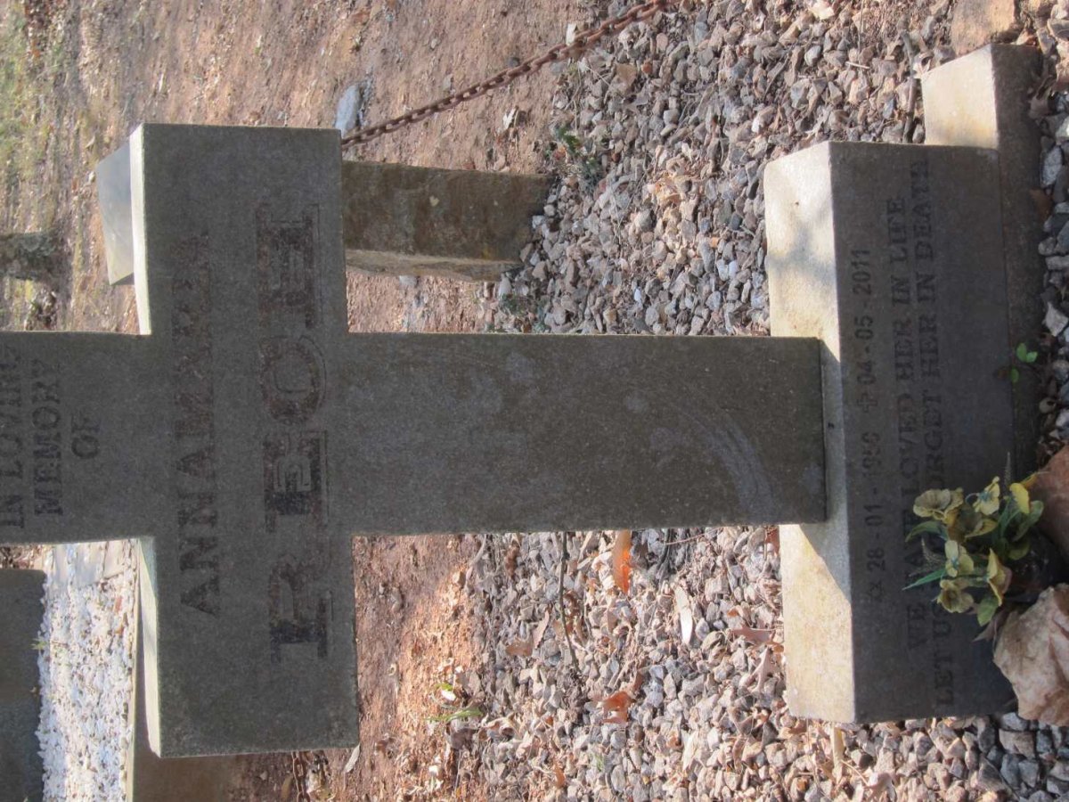 RECH Annemaria 1950-2011