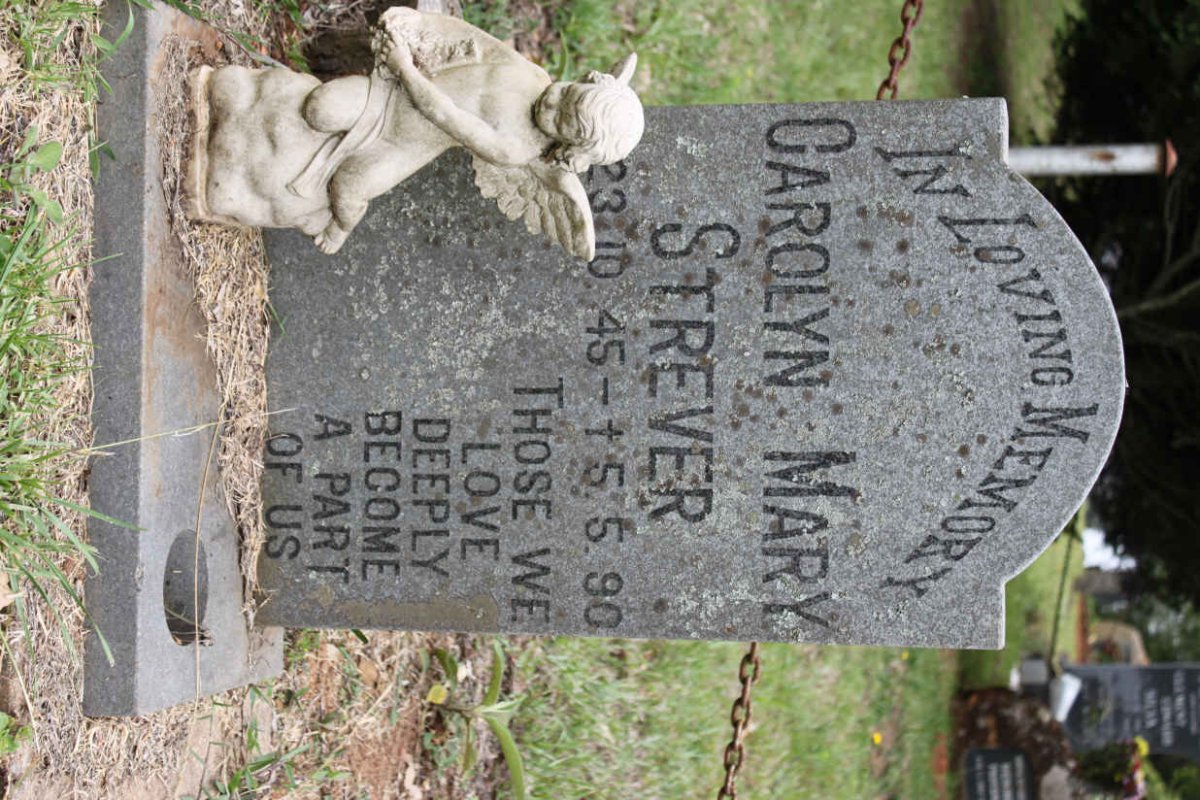 STREVER Carolyn Mary 1945-1990