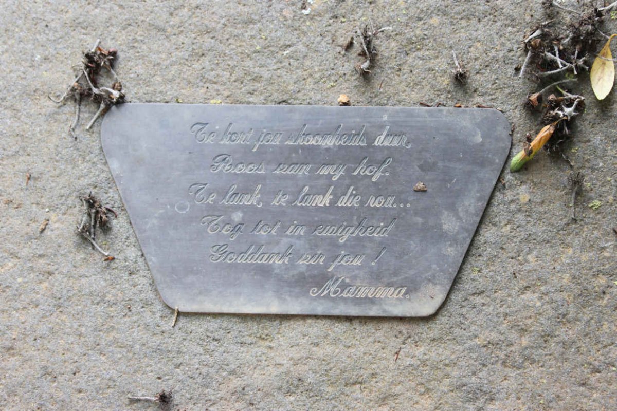 SCHOEMAN Willene Grace 1965-2000