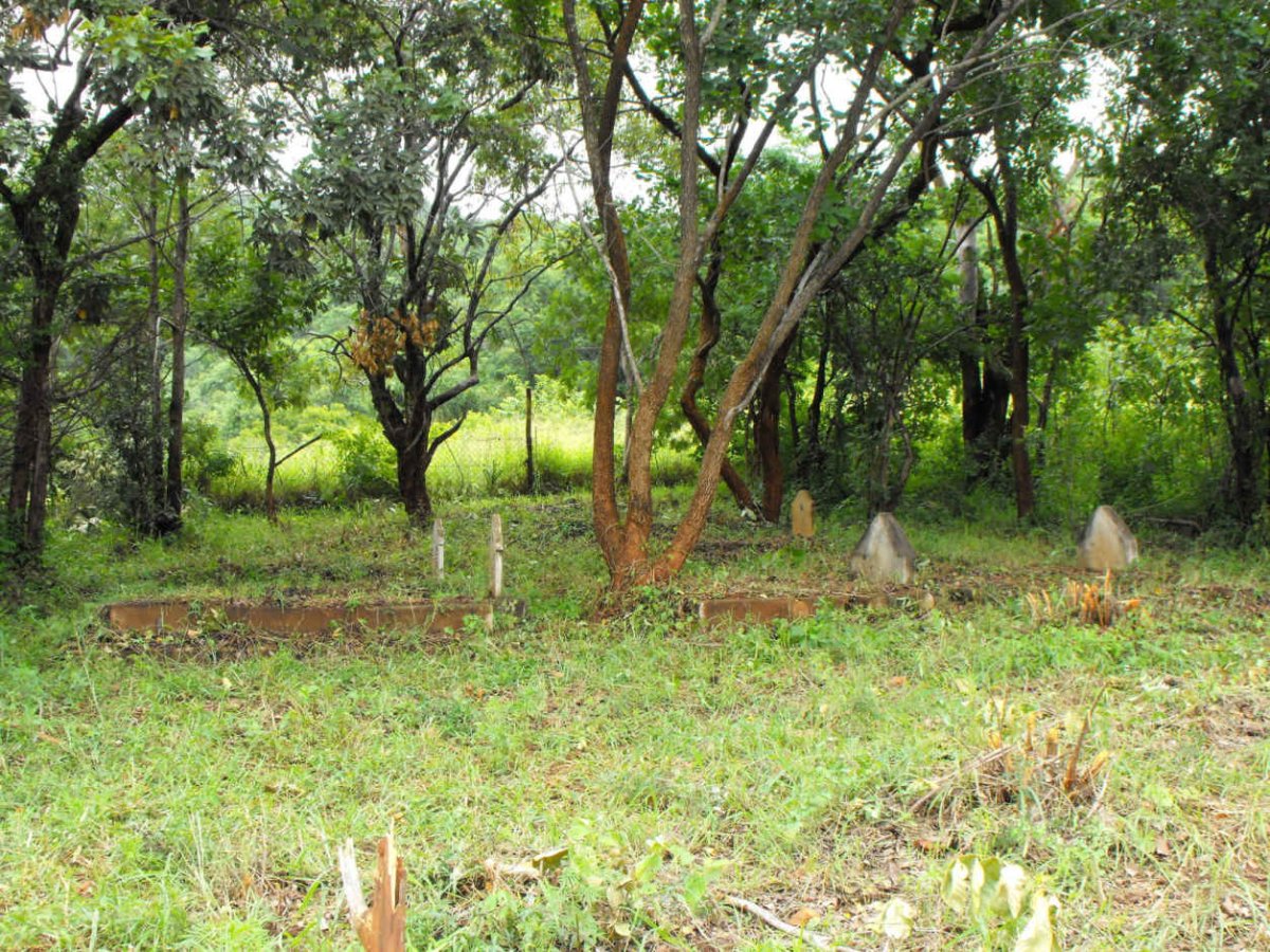 2. Oorsig oor grafte op die Viljoen plaas te Duiwelskloof
