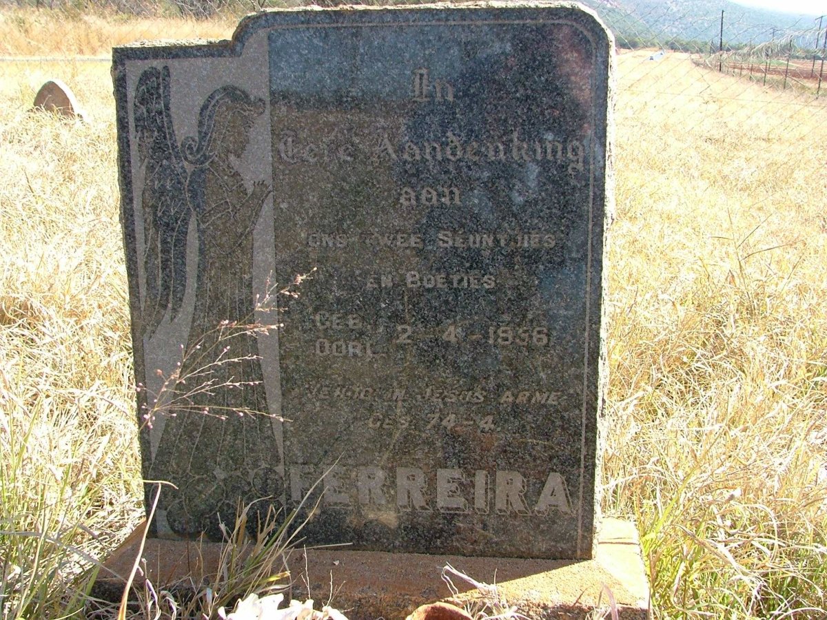 FERREIRA -1956
