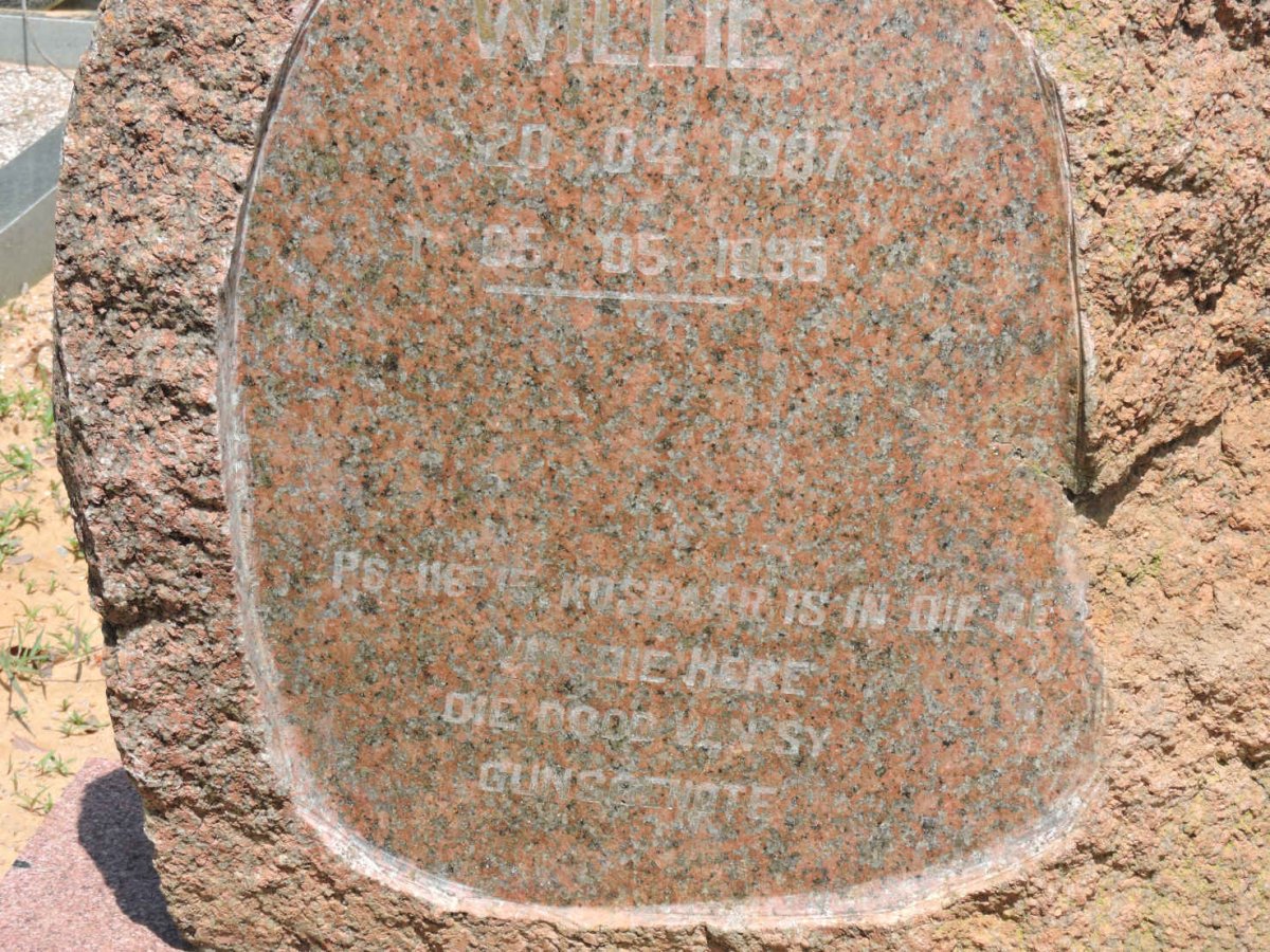 ? Willie 1987-1995