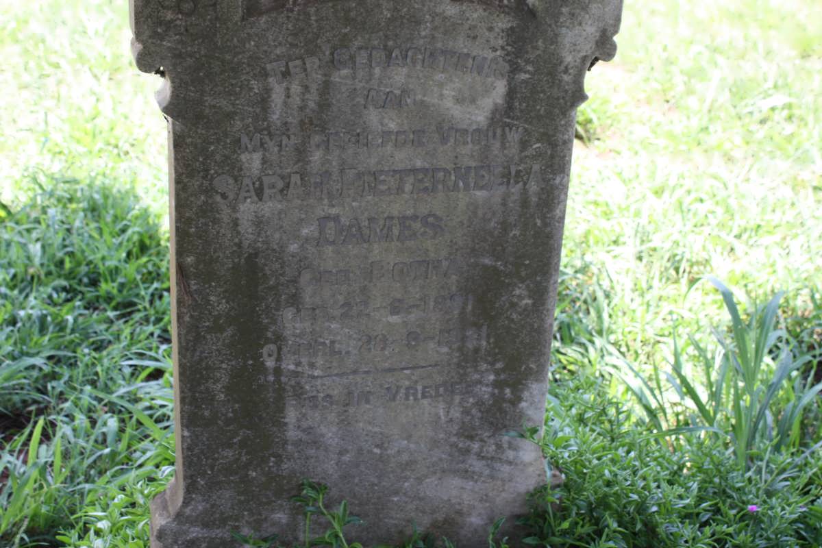 DAMES Sarah Pieternella nee BOTHA 1891-1921