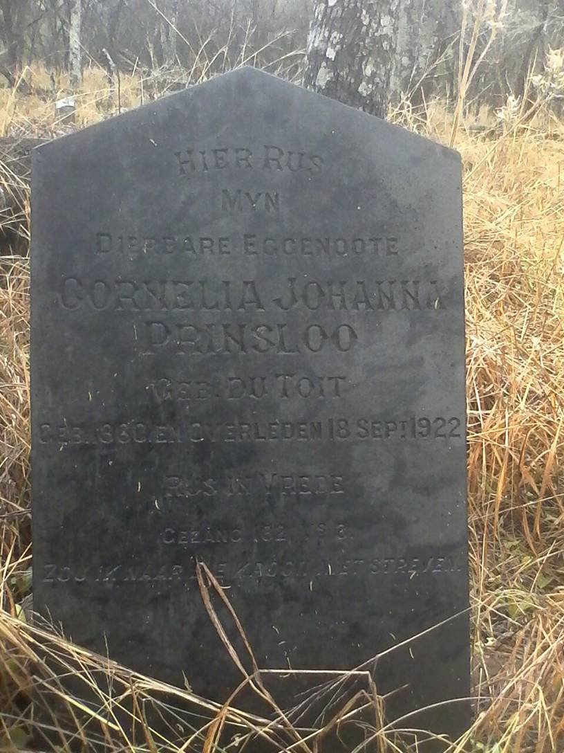 PRINSLOO Cornelia Johanna nee DU TOIT 1860-1922