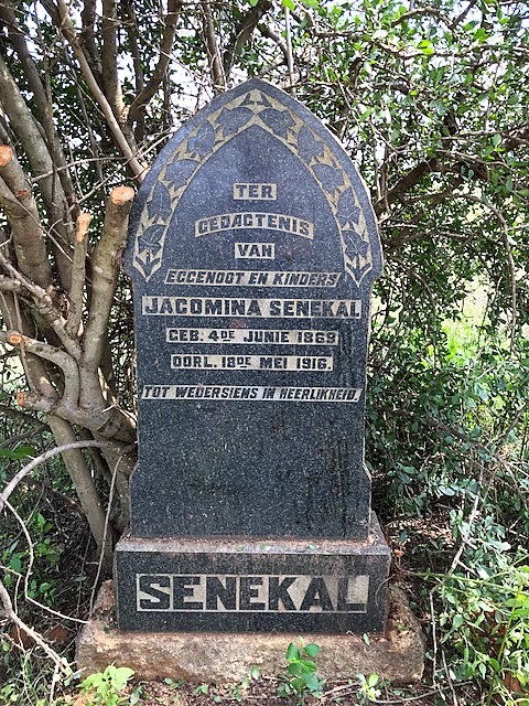 SENEKAL Jacomina 1869-1916