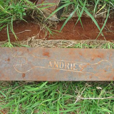 ? Andries 1929-1980_1