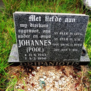 DRIPANIOTIS Johannes 1943-1994