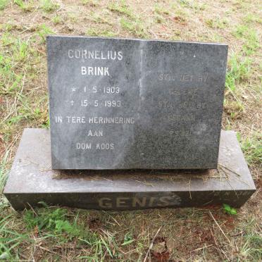 GENIS Cornelius Brink 1903-1993
