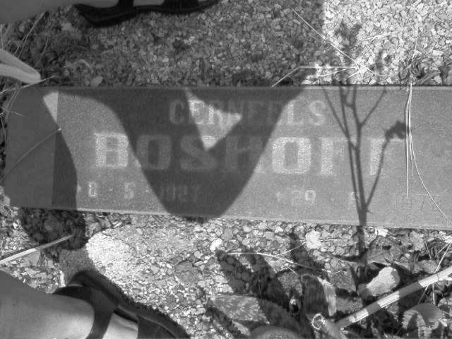 BOSHOFF Cerneels 1927-1972