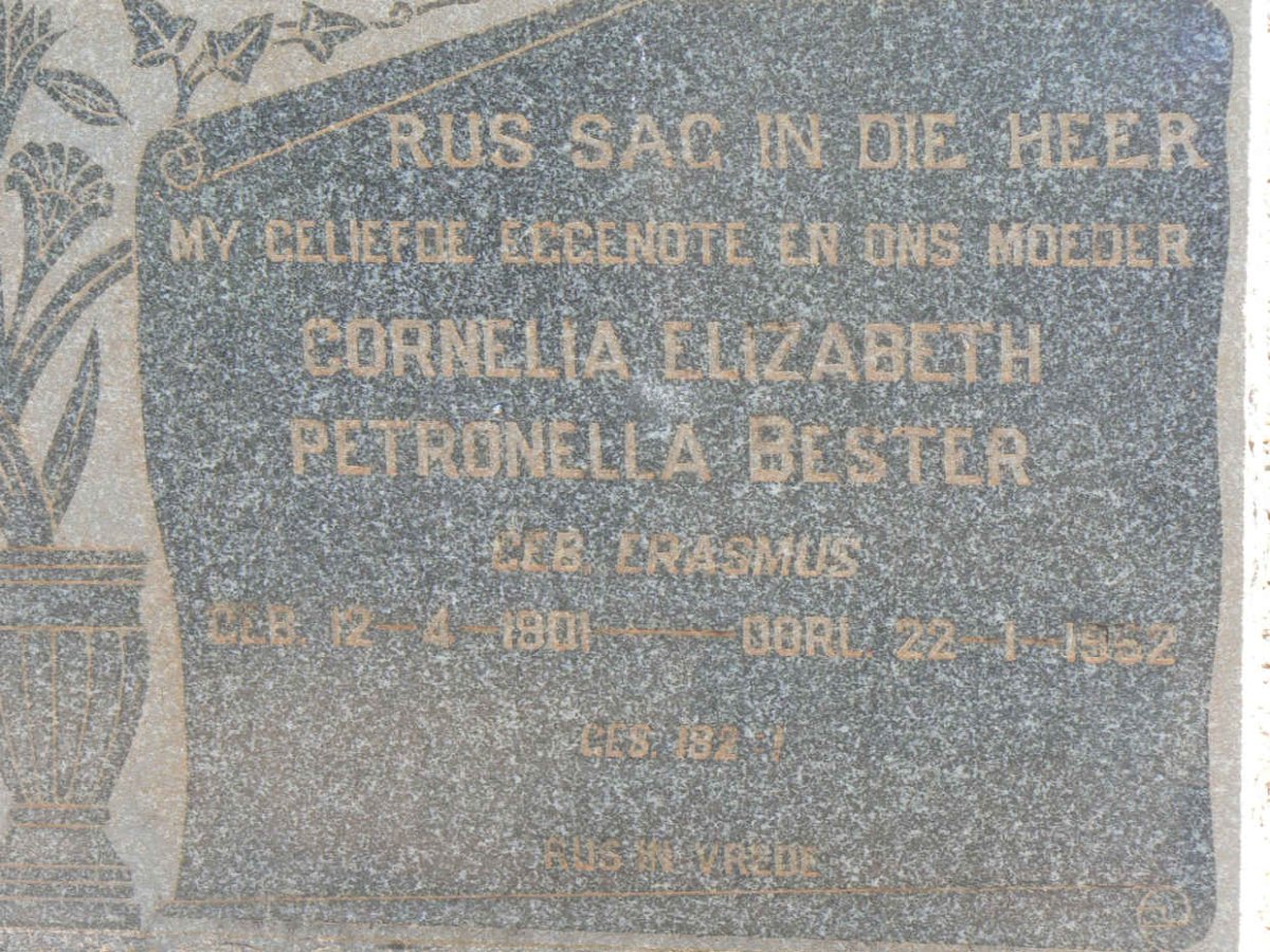 BESTER Cornelia Elizabeth Petronella nee ERASMUS 1901-1952