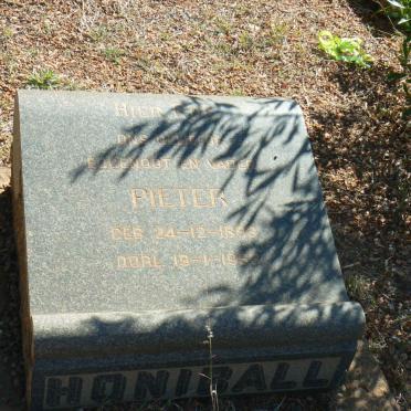 HONIBALL Pieter 1893-1953