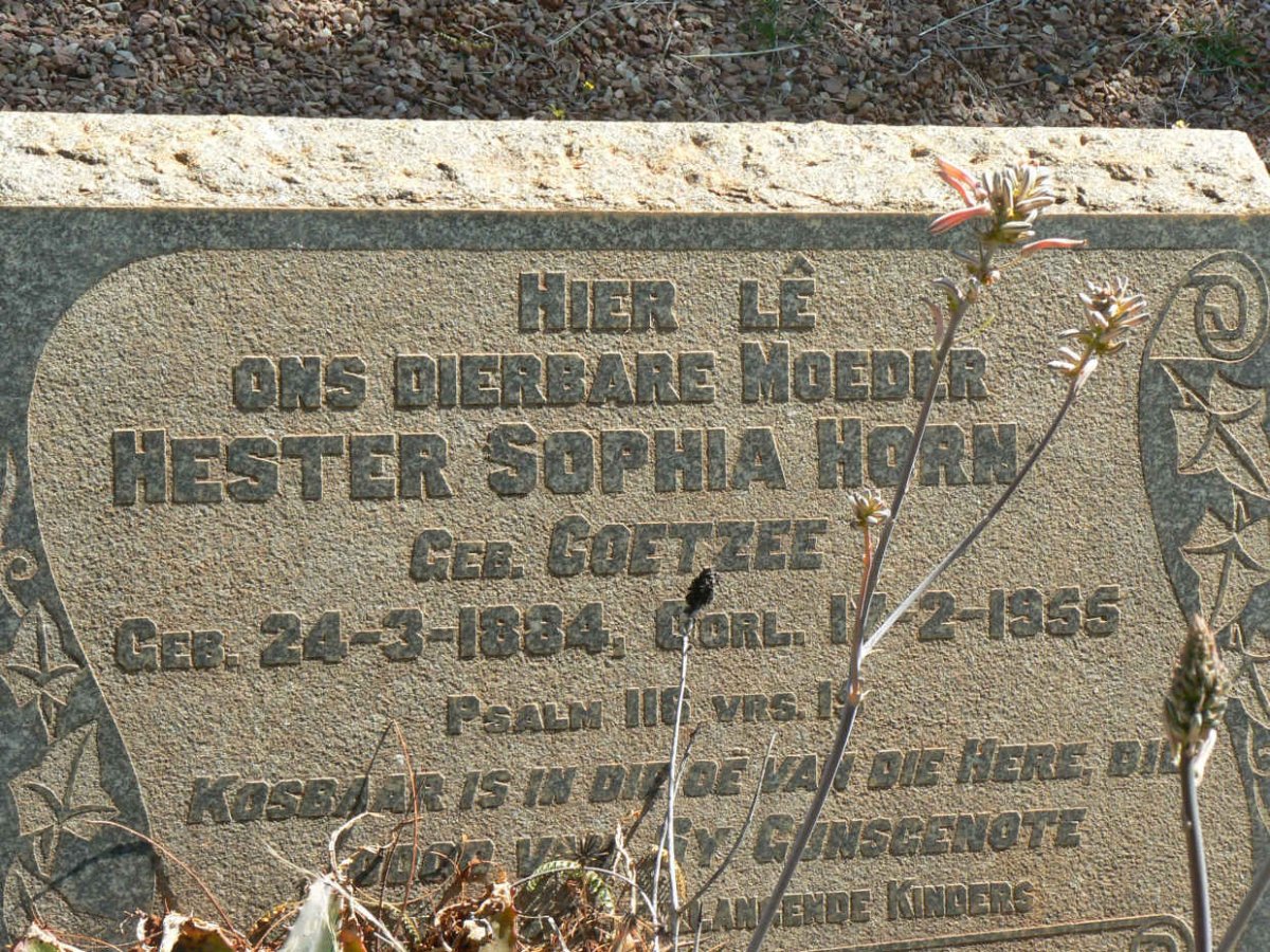 HORN Hester Sophia nee COETZEE 1884-1955