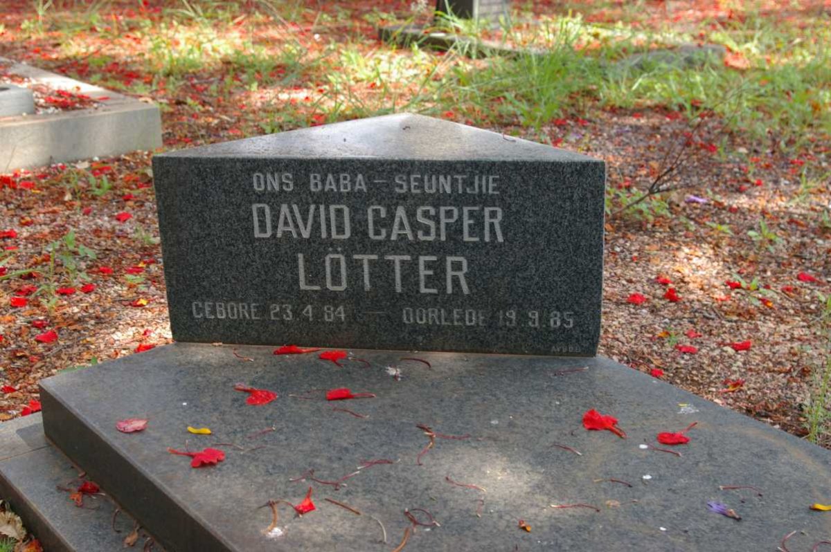 LOTTER David Casper 1984-1985