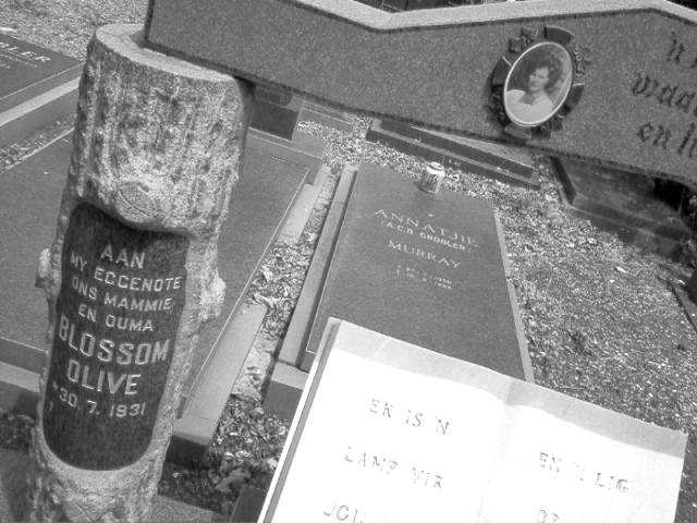 MURRAY Blossom Olive 1931-