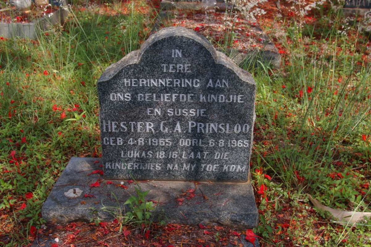 PRINSLOO Hester G.A. 1965-1965