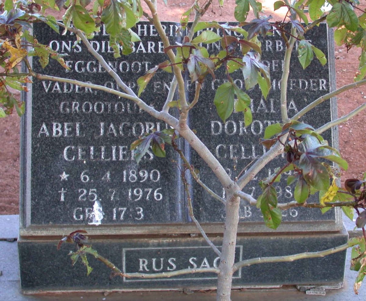 CELLIERS Abel Jacobus 1890-1976 &amp; Athalia Dorothea1895-198?