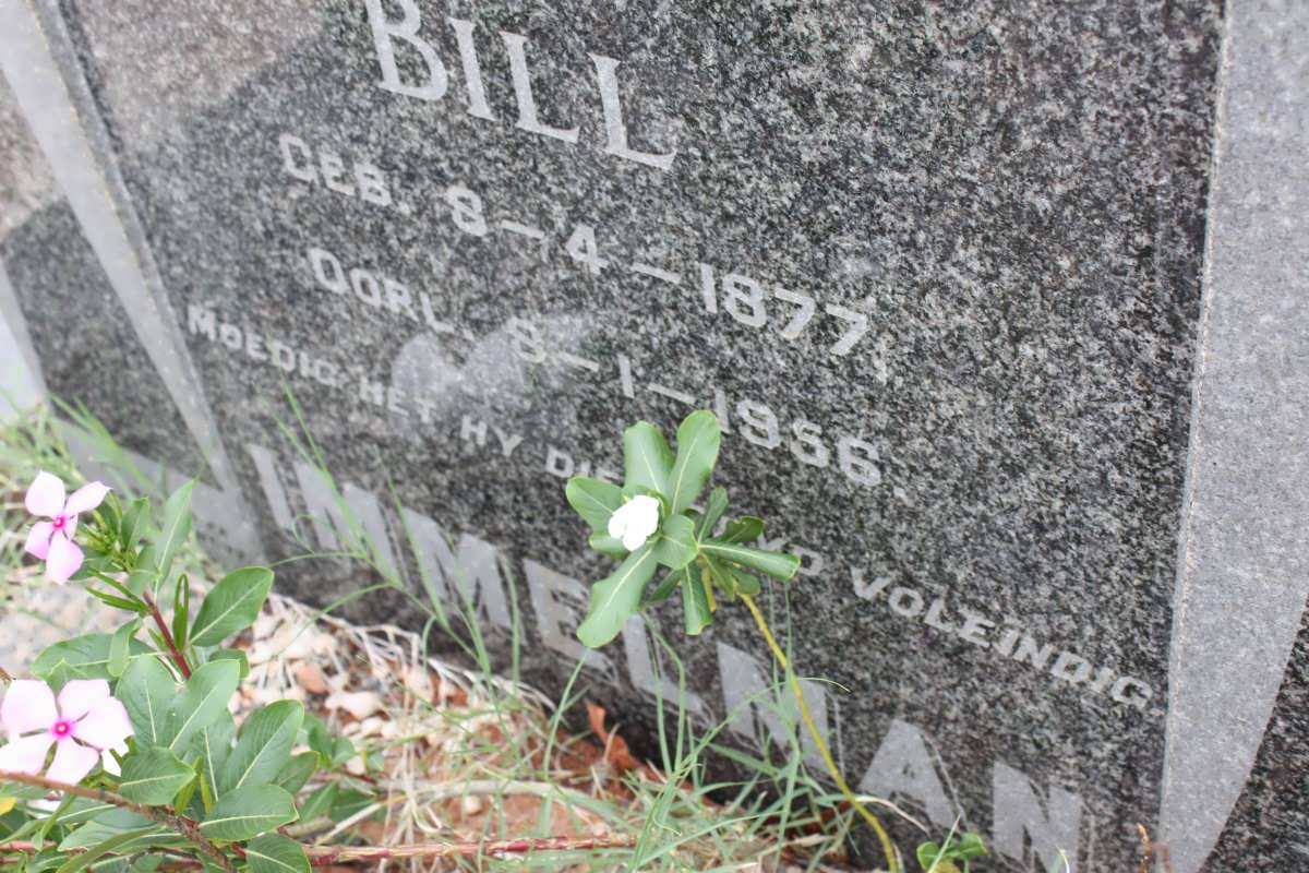 IMMELMAN Bill 1877-1956