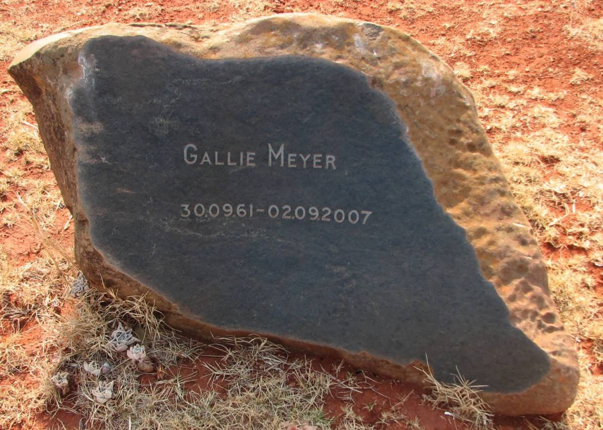 MEYER Gallie 1961-2007