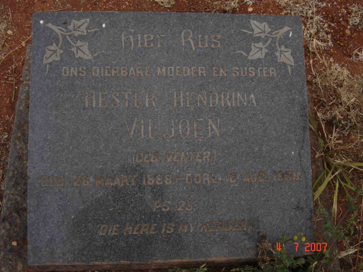 VILJOEN Hester Hendrina nee VENTER 1886-1956