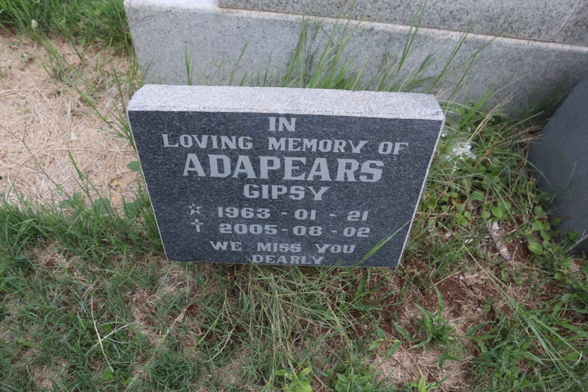 ADAPEARS Gipsy 1963-2005