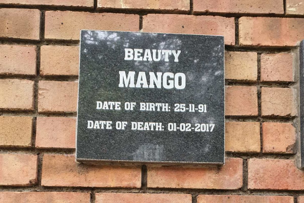 MANGO Beauty 1991-2017