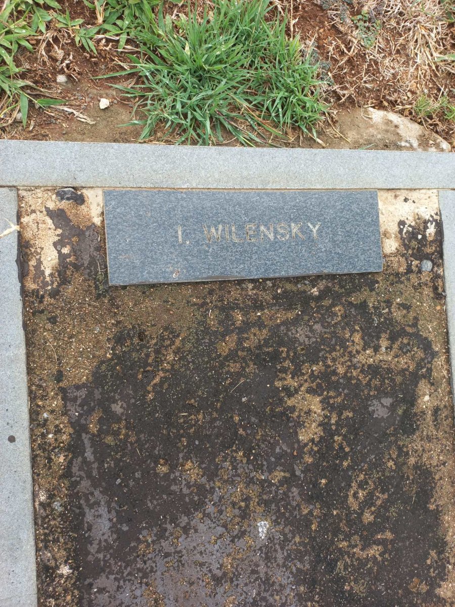 WILENSKY I. 