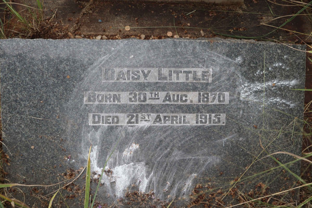 LITTLE Daisy 1870-1915