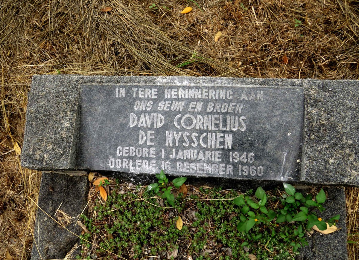 NYSSCHEN David Cornelius, de 1946-1960