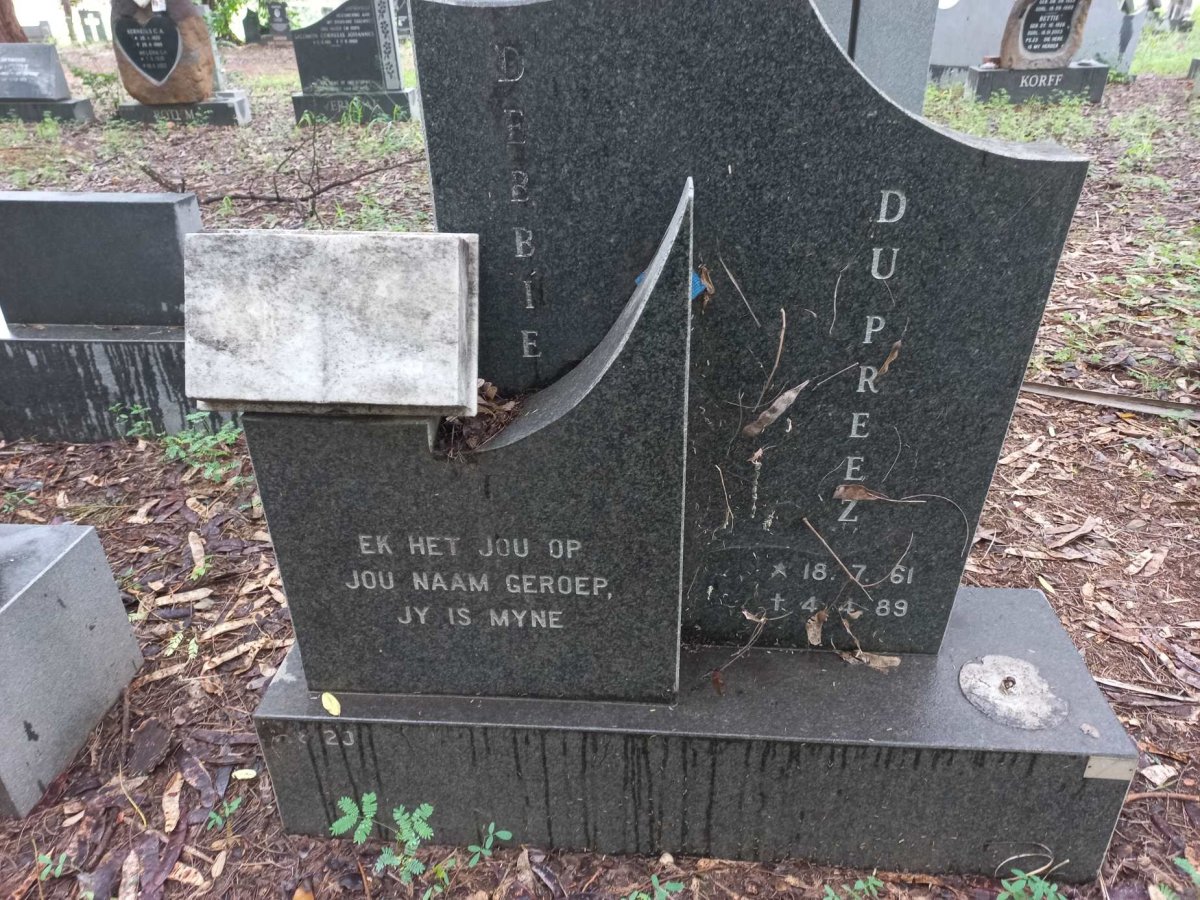PREEZ Debbie, du 1961-1989