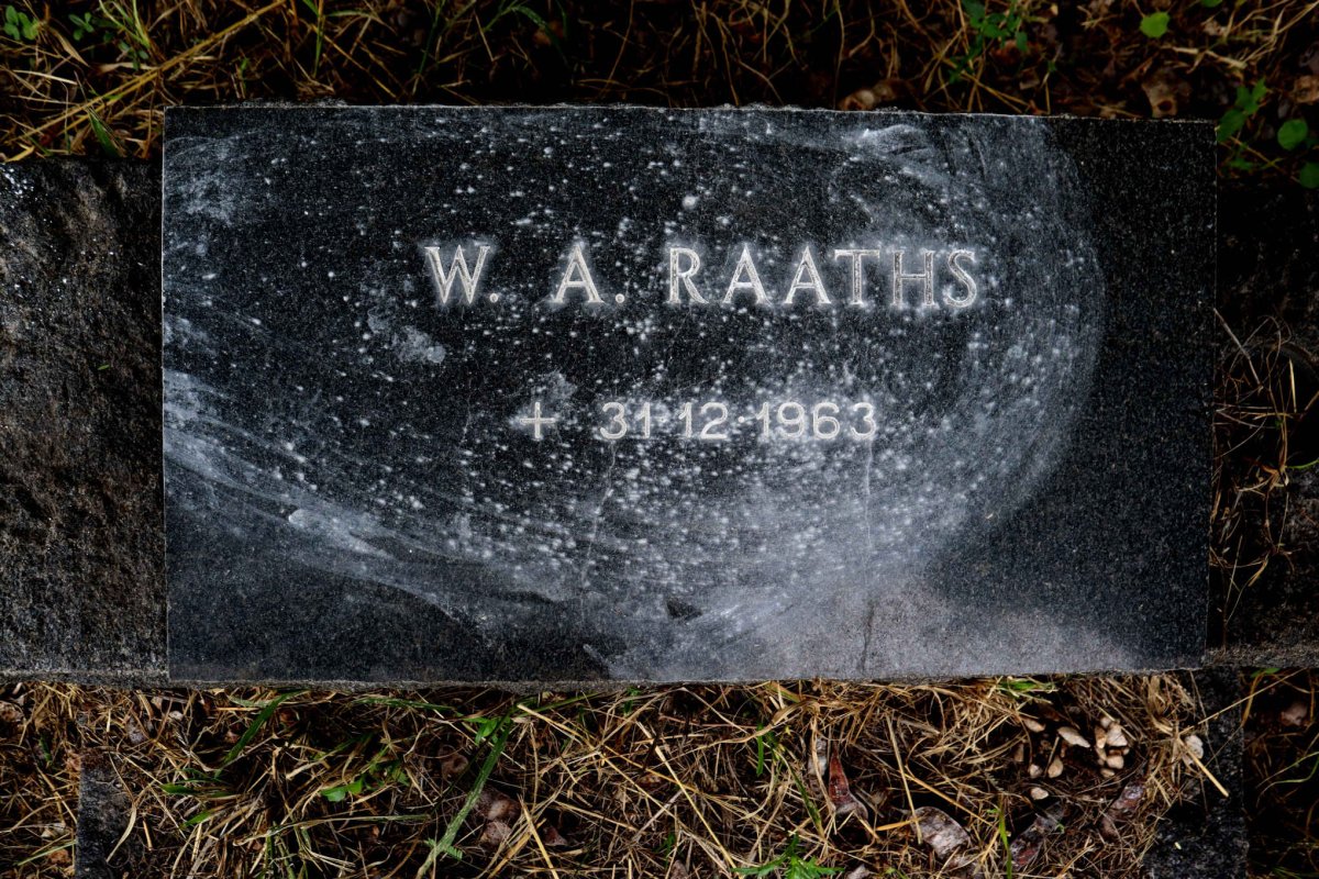 RAATHS W.A. 1963