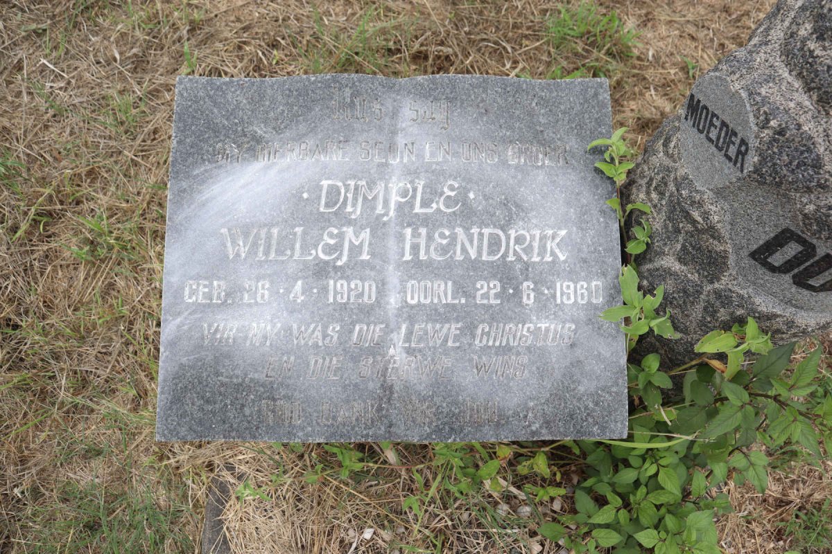 TOIT Willem Hendrik, du 1920-1960 