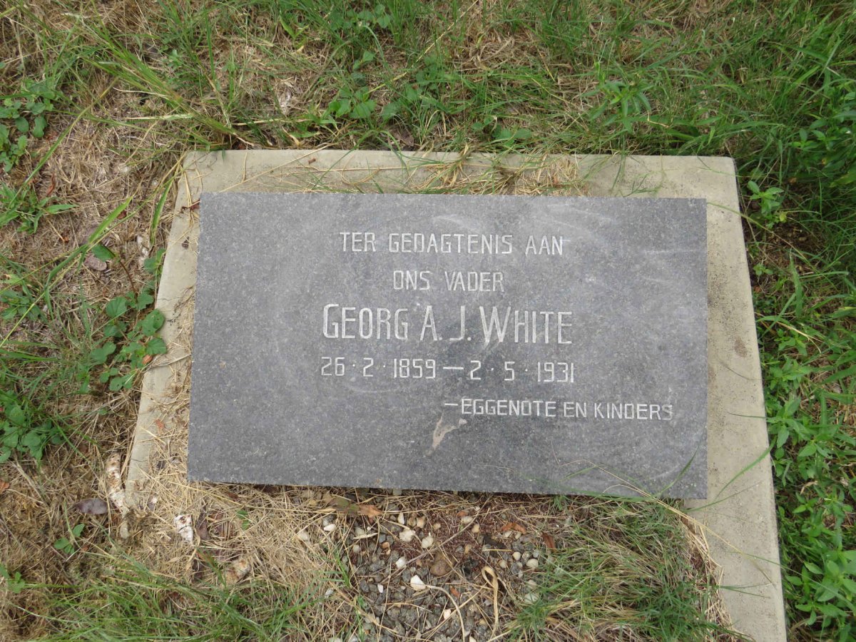 WHITE Georg A.J. 1859-1931