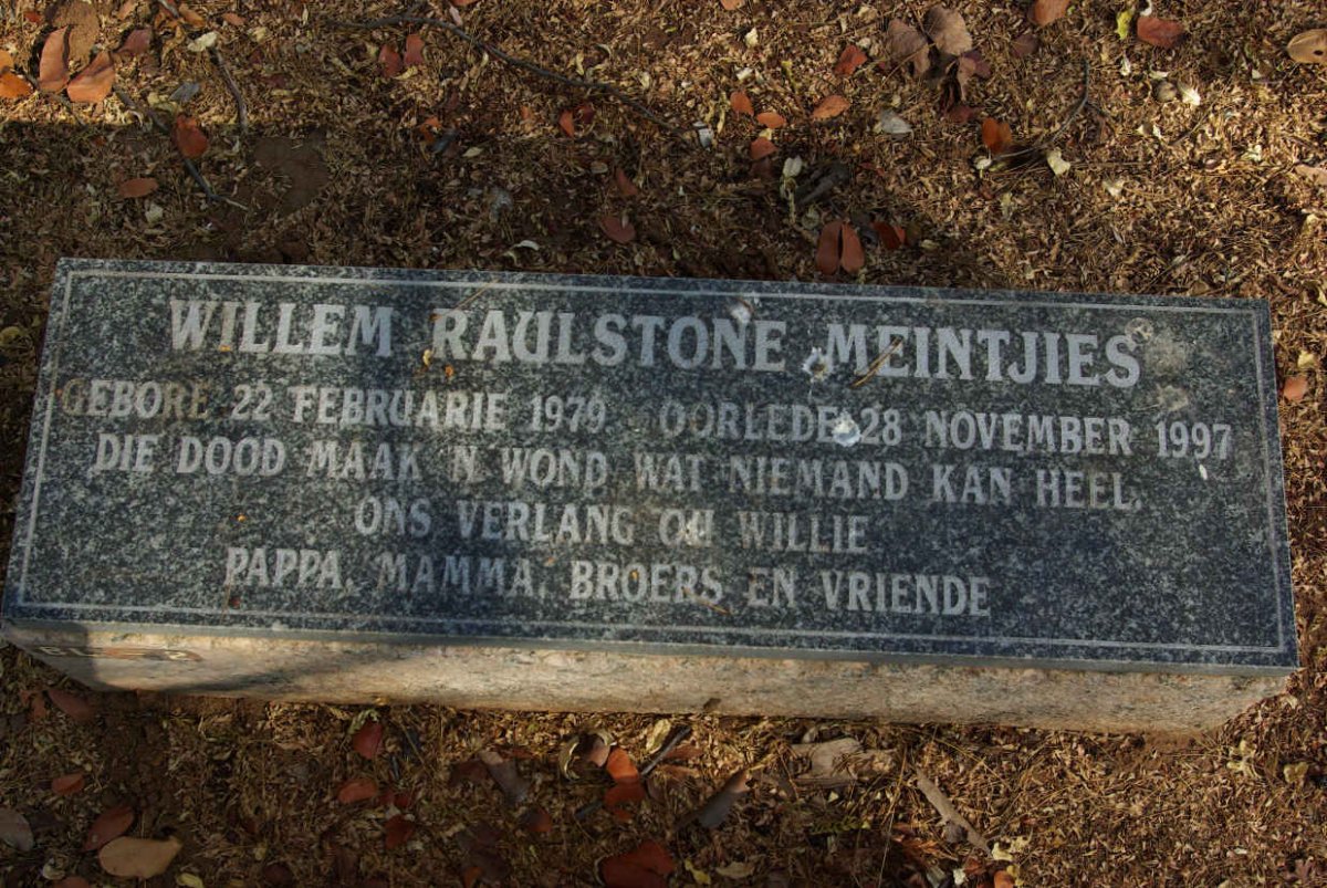 MEINTJIES Willem Raulstone 1979-1999