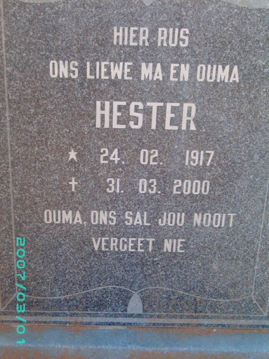 SCHAAP Hester 1917-2000