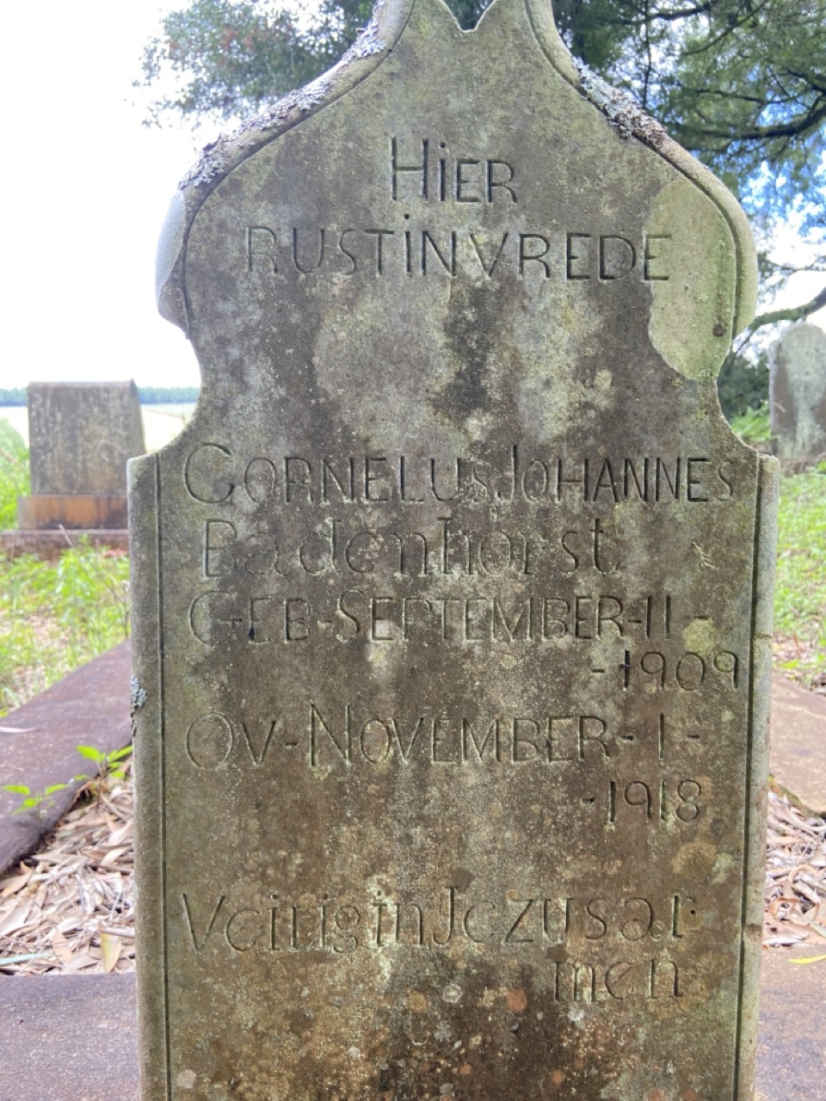 BADENHORST Cornelus Johannes 1909-1918