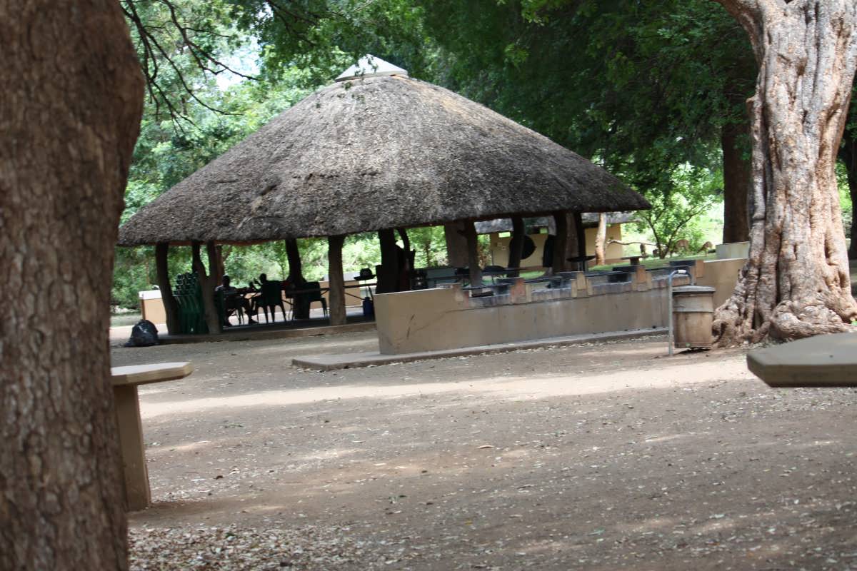 2. Overview