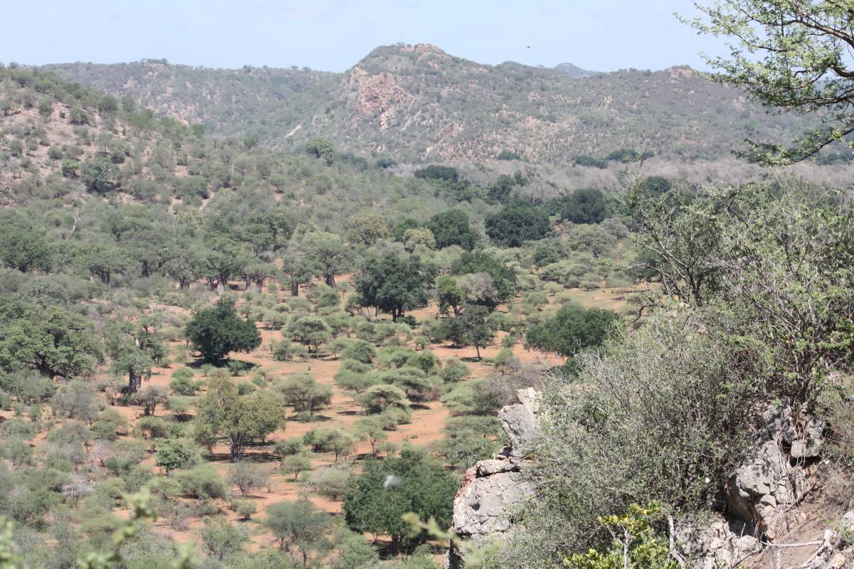 2. Overview of the area