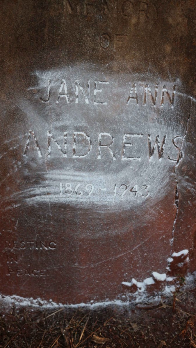 ANDREWS Jane Ann 1869-1943