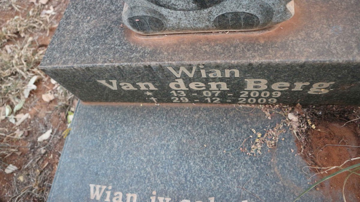 BERG Wian, van den 2009-2009