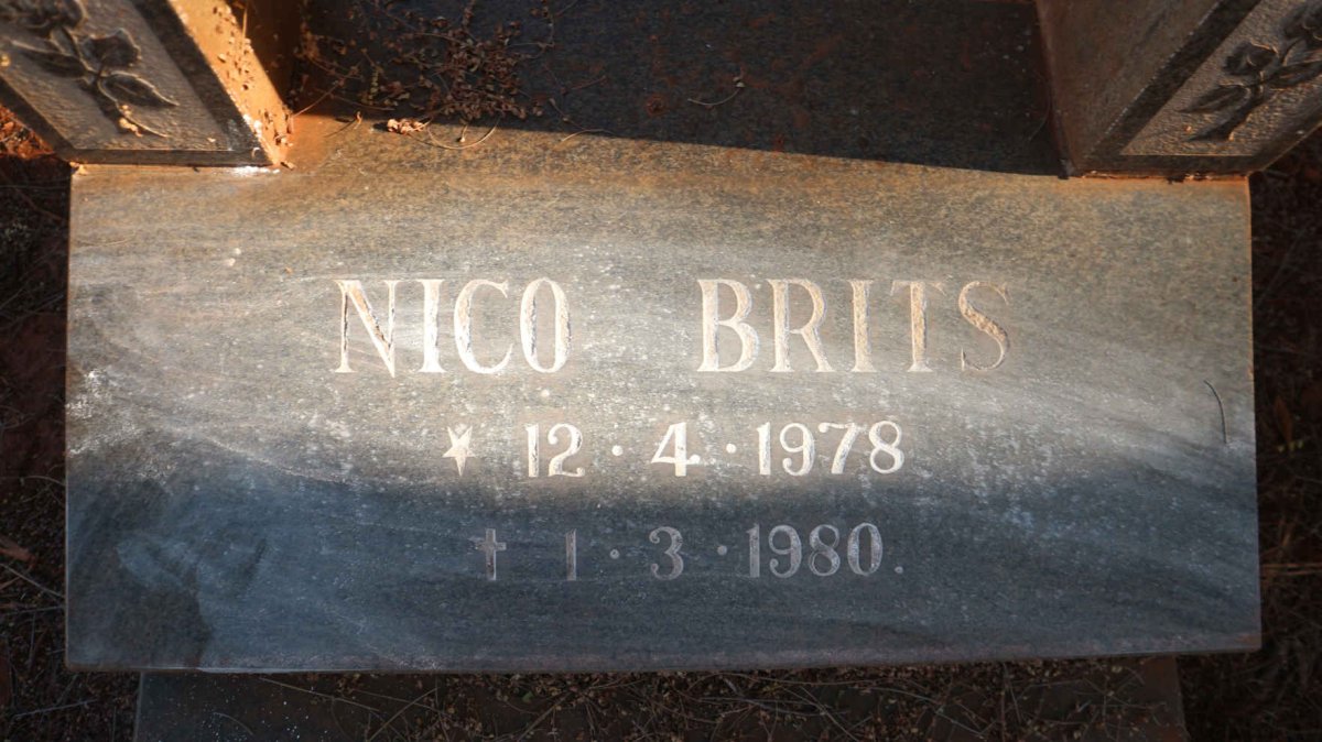 BRITS Nico 1978-1980